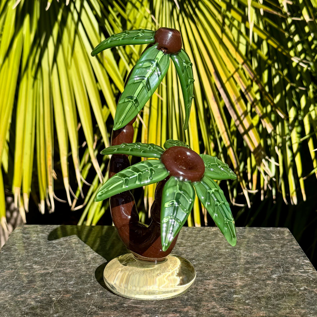 Palm Tree by Darby Holm