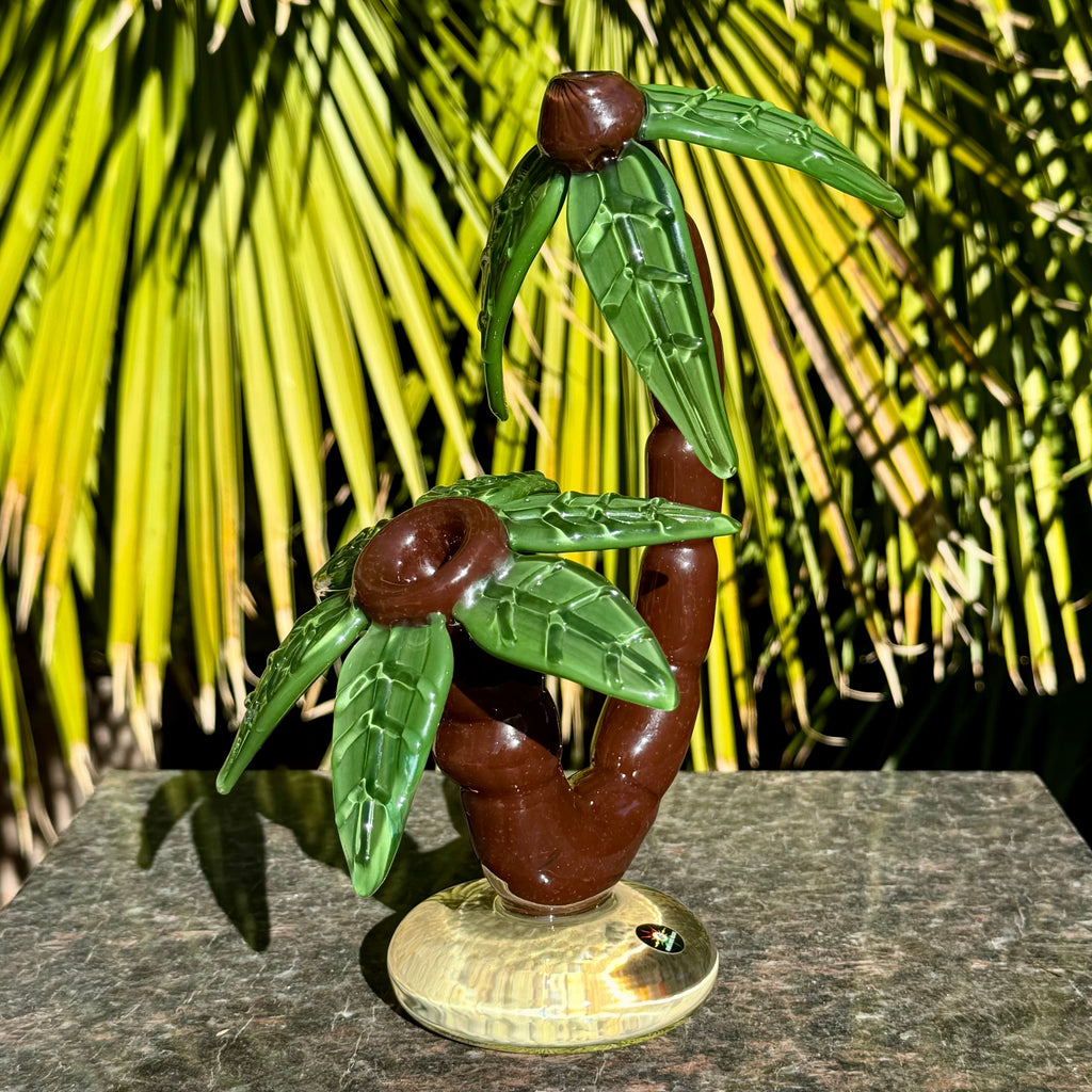 Palm Tree by Darby Holm