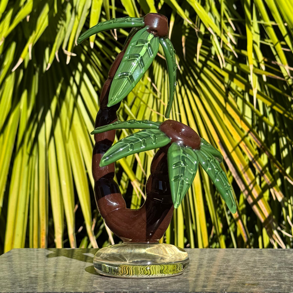 Palm Tree by Darby Holm